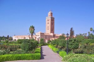 Telegraaf Actie: Excursiereis Marokko